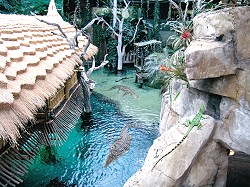 Krokodil-See im Tropen-Aquarium © Hagenbeck