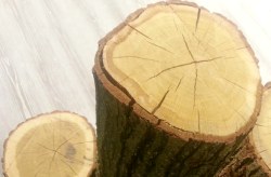 Trendmaterial Holz